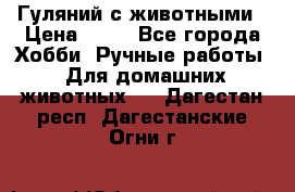 Гуляний с животными › Цена ­ 70 - Все города Хобби. Ручные работы » Для домашних животных   . Дагестан респ.,Дагестанские Огни г.